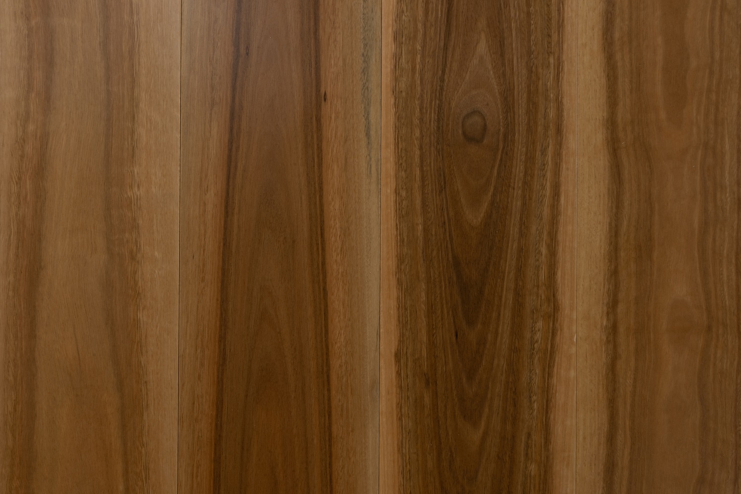 SG1801-Spotted-Gum-1