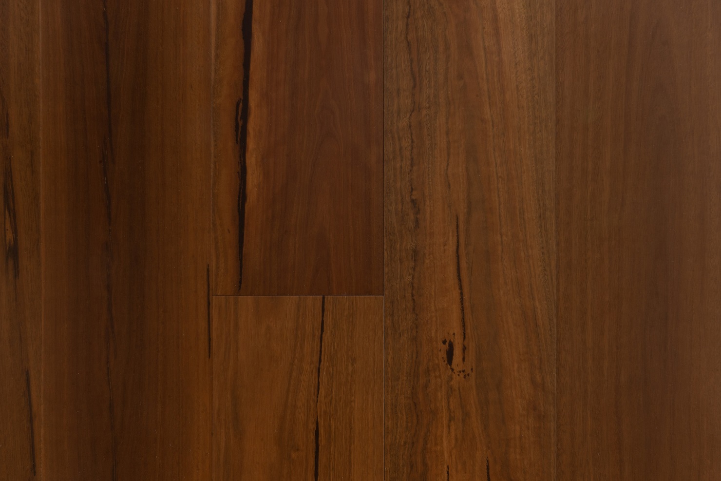 SG1833-190-Spotted-Gum-1